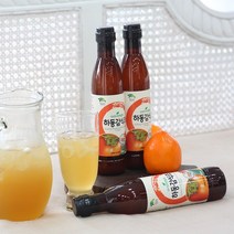 슬로푸드 자연발효 하동 감식초, 500ml, 1개