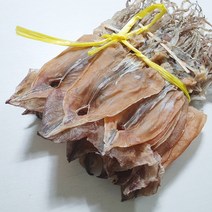 속초 당일바리 햇오징어 건조 마른 오징어 쫄쫄이오징어, 10마리 속초 당일바리 오징어 650g, 1개