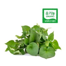 유기농 어성초잎 생어성초, 생어성초 1키로, 1개