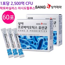 루테리 유산균 여성 유산균 락토바실러스 애시도필러스 리스펙타 프로바이오틱스 프리바이오틱스 분말 가루 모유유래 플란타룸 가세리 혼합 생존 장내유익균, 60포, 1박스
