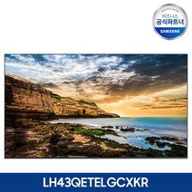 삼성 43인치 4K UHD 사이니지 모니터 LH43QETELGCXKR, 본품+월마운트(가로설치형)