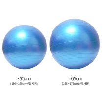 다이어트짐볼 다이어트 짐볼 55cm 65cm 코어운동 유연성운동, 그레이