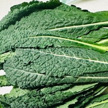 국산 생 뉴그린 300g 잎브로콜리 블랙케일 블랙캐일, 뉴그린300g