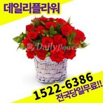 빨강장미백합혼합 꽃바구니 꽃배달서비스 당일배송