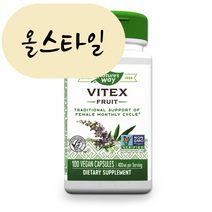 네이쳐스웨이 바이텍스 Vitex Fruit 400mg 100캡슐, 1개, 100정