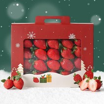 설향 딸기 선물 세트 500g 최상급 고당도 딸기농장, 500g 단품