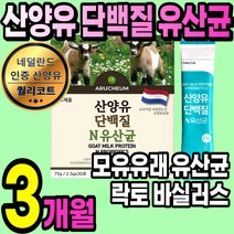 프리미엄 산양유 단백질 1통 모유유래 유산균 분말 가루 스틱 고함량 초유 유청 프로틴 보충제 락토바실러스 쉐이크 아침 간식 담백질 성장기 어린이 청소년 수험생 여성 남성 노인 추천, 3통(3개월)