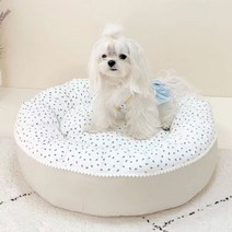 강아지콘솔카시트 박스 차멀미 애완동물 집 카시트 침대 소형견 및 고양이용 개 소파 고양이 둥지 키티 쓰레기 Morandi 탈착식 세탁 가능, S_CHINA, Sofa B