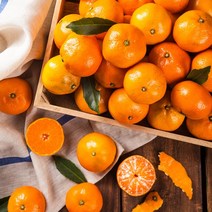 바른식탁 제주 타이백 감귤 4.5kg 꼬마과, 1