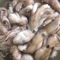 바다식객 오동통한 냉동 활낙지 850g (4미/6미/8미), 1팩, 850g 200/300 (4미)