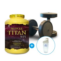 헤비매스 머슬타이탄 WPI 2kg 헬스보충제-쉐이커 증정 분리유청단백95% 리얼초코맛 단백질보충제 BCAA 아미노산 밀크씨슬, 단품, 단품