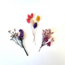 포장용 프리저브드/드라이 프리저브드 플라워 청첩장 답례품 선물 포장, 팔라리스(레드)_10ea