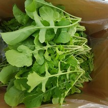 안산팜 로케트루꼴라, 루꼴라 1봉, 500g