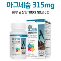마그네슘 영양제 비타민b 1일 영양성분 기준치 100% 충족 마그네숨 알약케이스 증정, 6병, 90정