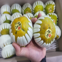 추석 명절선물 고당도 창원 태추단감 배단감 2kg 3kg 5kg, 1개, 태추단감 / 3kg(13과내외)