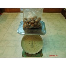 호두 지리산호두 토종호두1kg 껍질얇고 알작은 토종 고소한 호두 밤 kbs방송출연농부, 2kg, 1개