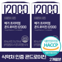 닥터닷 프리미엄 콘드로이친 12000, 60정, 2개