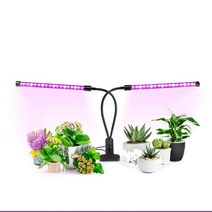 점프팜 LED식물등 크로톤키우기 미니다육이 새싹채소-72394EA, wltn406 본상품선택