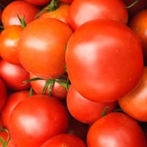 순이네 무농약 찰토마토 3kg / 5kg 산지직송 완숙 토마토 가바토마토, 무농약 찰토마토 5kg