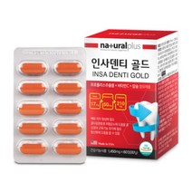 내츄럴플러스 인사덴티 골드 치아 뼈 건강 항산화 영양제 효과 1450mg x 60정, 4개