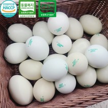 난각2 동물복지 청란 청계알 특란 유정란 무항생제 당일산란 계란 농장직송, 사포닌 청란 15구