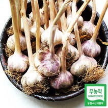 서산 무농약 마늘 통마늘 난지형 반접 50개(대), 단품