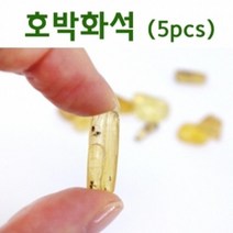 5P 소나무 송진 호박 화석 과학 체험 표본 원리 돌봄 방과후 수업 역사 유치원 초등과학 퇴적물 유아