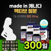 철분 캐나다 canada IRON 30mg 함량 철분제 임신 중기 후기 출산후 임산부 수유 부 산모 여성 여자 20대 30대 40대 추천 복용법 보충 효능 가격 선물, 300일분*3통*