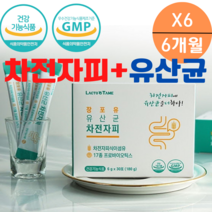 차전자피 프로 프리 바이오틱스 다이어트 식이섬유 약국 쾌변 장청소 약 숙변제거 장 가스제거 유산균 난소화성 말토덱스크린 화이바솔2 분말 수용성 식이섬유 영양제 스틱 섬유질, 30포X6박스