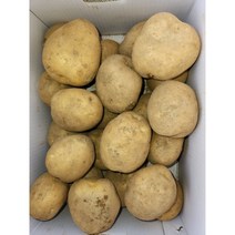 [하늘채농장] 국산 강원도 2023년 햇감자 두백감자 왕특 특품 5KG, 5Kg(특품 중), 1개