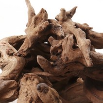 고운물 퍼펙트 브랜치 유목 SS (약7~13cm) x2개