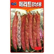 콩씨앗종자) 울타리 강낭콩(600g) S2575