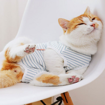 고양이 환묘옷 만들기 암컷 강아지 중성화 옷 올인원