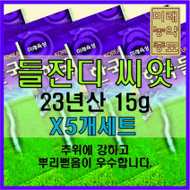 [23년산 국내생산] 미래종묘 한국 들잔디 15g (X5개세트)- 착근력 우수 산소용 골프장용 전원용