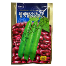 국산 빨강 강낭콩 씨앗 30g 비넝쿨 토종 빨간콩 종자 미래종묘