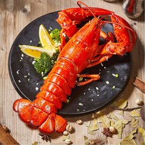 [식품의전당] 자숙 냉동 랍스터 캐나다 랍스타 바닷가재 밀키트 선물세트 특대 구이용 1미 2미 4마리 몸통 red lobster