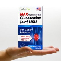 미국 헬씨허그 맥스 글루코사민 조인트 MSM 고함량 노인 직장인 60정