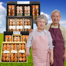 먹사부 상주 곶감 선물세트 반건조 곶감 반건시 반시 건시 설 추석 선물 세트 명절 선물 세트 말린 곶감 실속형 가정용 곶감말이 감말랭이 햇 곳감 꽃감 곷감 곧감 제수용 선물용, N.봉황4구