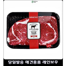 고양이쿠션 리얼미트인형 고양이화장실발판 고양이필수품 고양이가좋아하는것 새끼고양이키우기