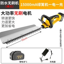 고출력 충전 전정기 전동 미니 미니 조경 전기 무선 트리머 엔진 가지치기 헤지 고지 충전식, 방수브러시리스단날(15000mA)배터리x1, 1개