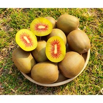 태양 품은 제주도 루비골드키위 특대과 550g 1kg 2kg 4kg 5kg, 2kg 14과내