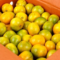 농협공판장 정성드린 제주 칠십리 노지감귤 5kg(L-2L)