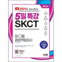 2022 채용대비 유튜브로 쉽게 배우는 5일 특강 SKCT SK그룹 종합역량검사, 시대고시기획