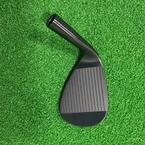 골프 클럽 셋트 RomaRo 웨지 CFFORGED sx Ray Zero 헤드 샤프트, 48 degrees