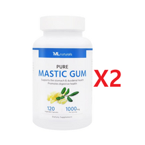 마이라이프 매스틱검 메스틱 검 1000mg 120 베지캡슐 2개, 120개