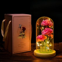 졸업선물 입학선물 집들이 선물 해바라기 유리돔 무드등 인테리어 장식 생일 미녀와야수, Q