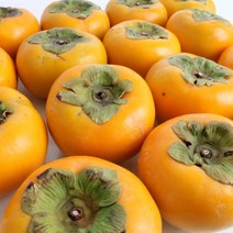 산지직송 창원 북면 단감 5kg(27-33과)