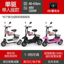 3륜전기자전거 전동 세발 자전거 성인용 3인용 삼륜 세발자전거 가성비 전기, 48V, 48V 1인용- 축전-1인승-원터치 시동
