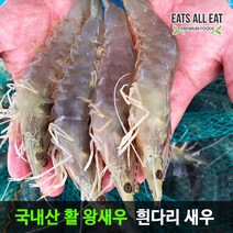 이츠올릿 국내산 활 왕새우 대하 1kg 25-35미 국산 생 냉동 흰다리 새우, 하우스 새우 1kg 25-35미