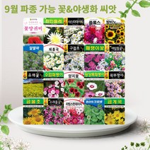 솔림텃밭몰 9월 파종 가능 꽃 야생화 씨앗 모음, 20. 화이트크로바 20g, 1개